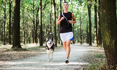 Courir chien